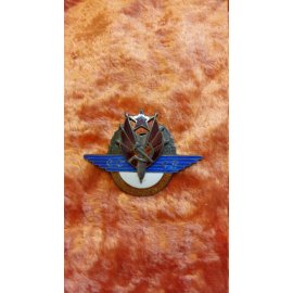 Знак отличный воздушный боец, серебро (проба) №110 146