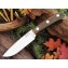 BR_Fox River Green canvas Micarta
