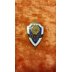 Знак 40 лет МВД ТССШМ №209