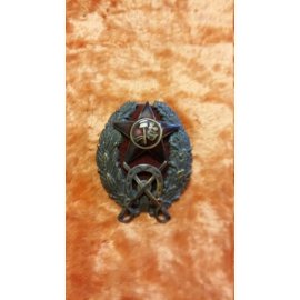 Знак командир кавал. корпуса крас.армии 1921г №100 81